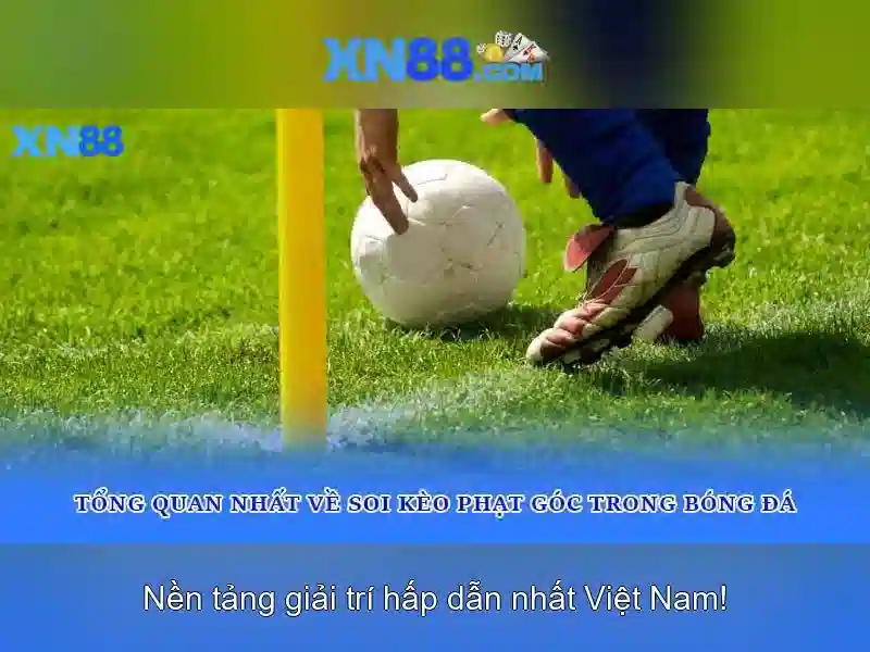 💎nhà hát cái lờ💎
