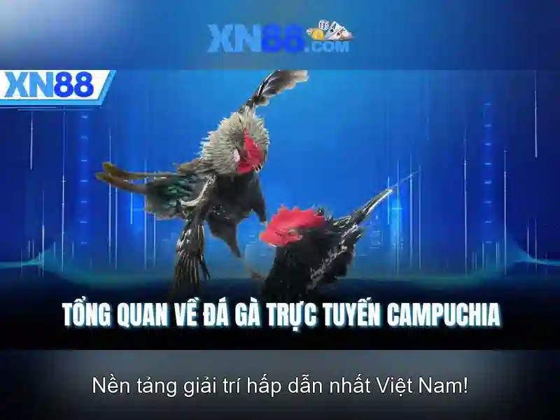 💎bài đánh giá về chợ bắc mỹ an💎