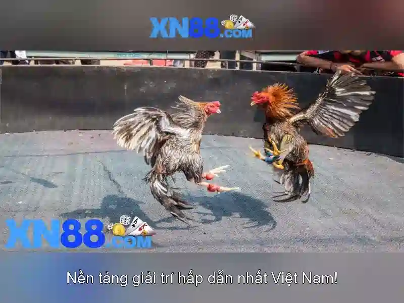 💎888 slot gaming myanmar💎