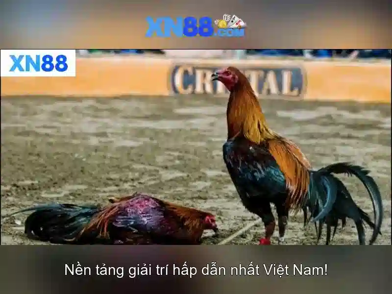 💎xn88 80💎