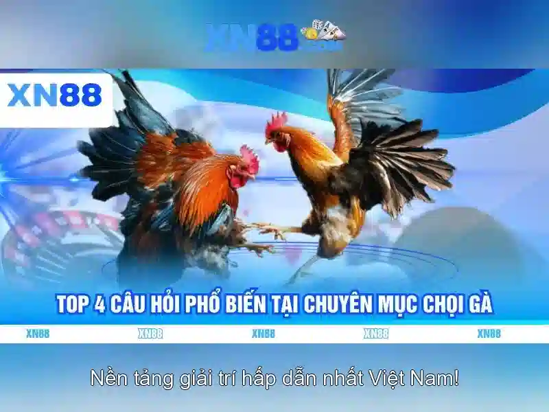 💎sex 888 slot💎