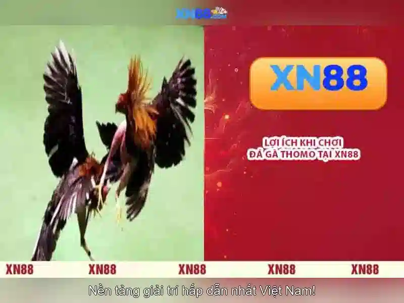 💎hình ảnh của xn88💎