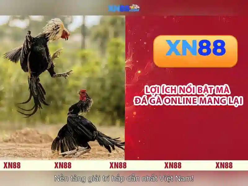 💎slot365 đăng nhập💎 - slot365 vn - slot365 tải app ios