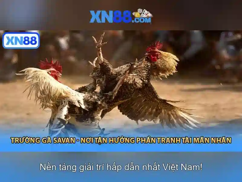  trang web slot - XN88