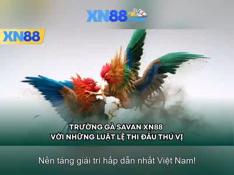 💎nha cai uy tín 198💎
