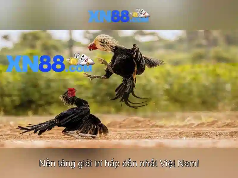 💎kèo+góc+nhà+cái💎
