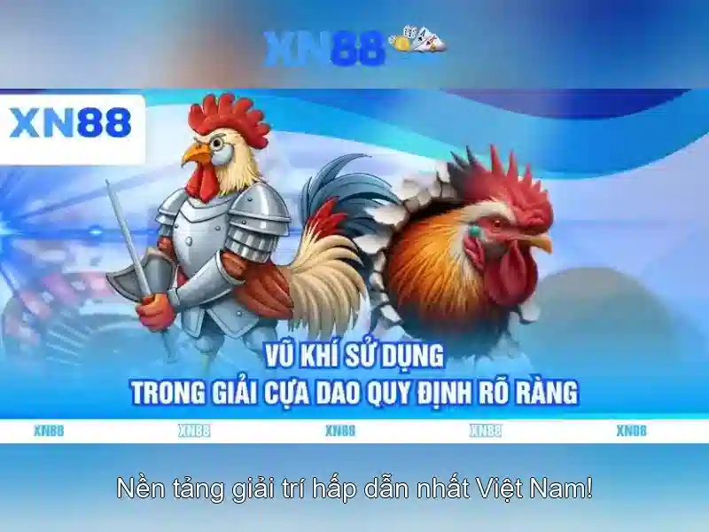 💎nhà cái trong chứng khoán💎