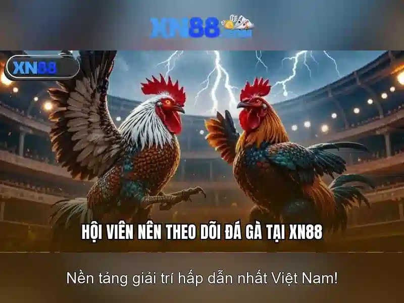 💎188v apk💎 - tai 188v - đăng nhập 188v