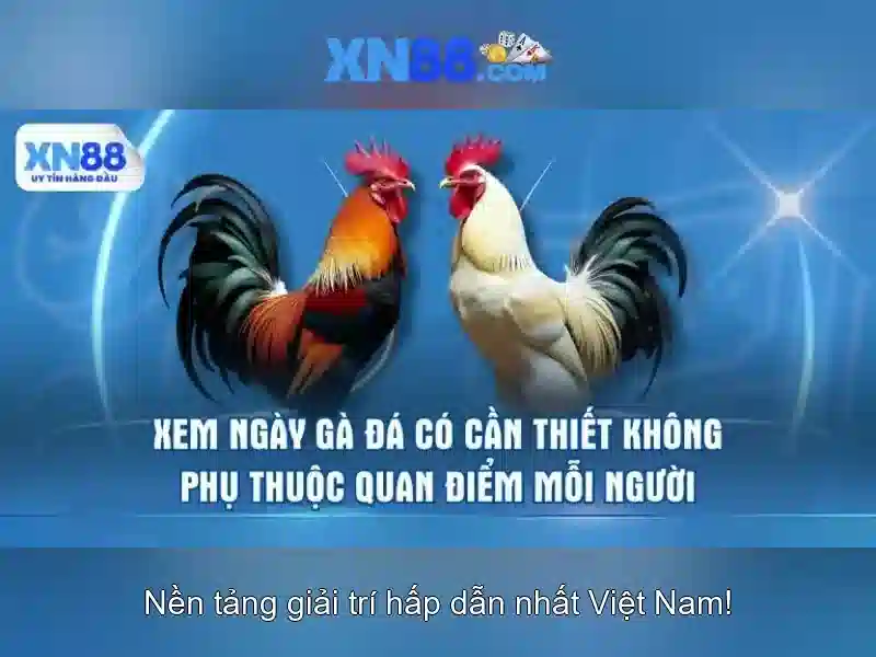 💎nha cai uy tin 128.23💎