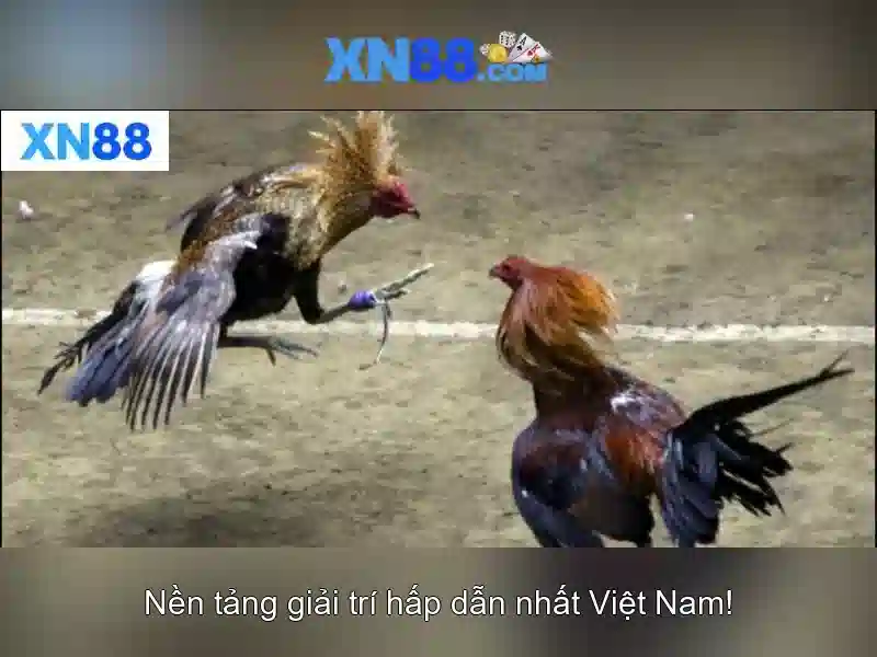 💎90 888 slot pagcor💎