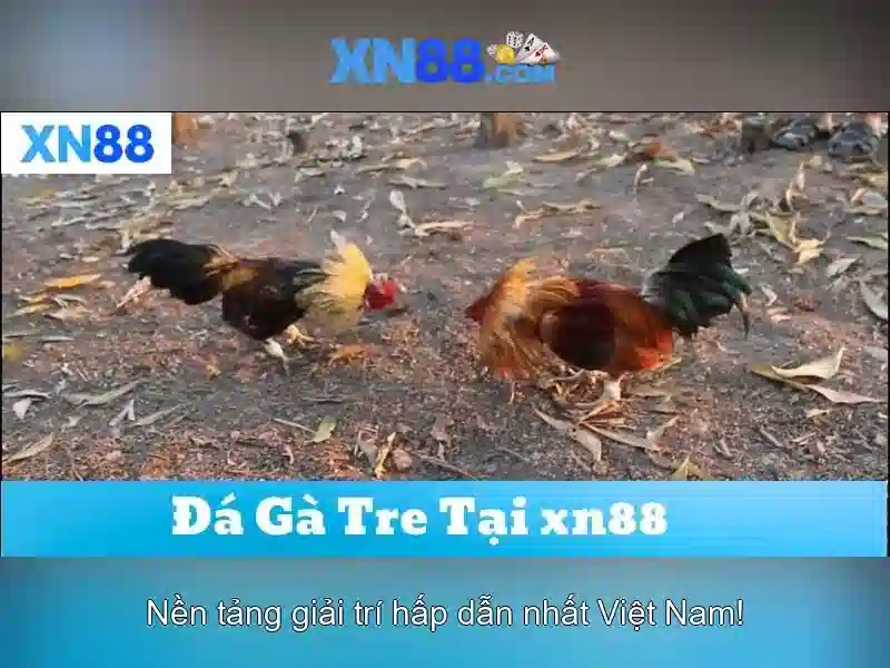 💎hb88 slot hb88 slot - tìm trên google💎