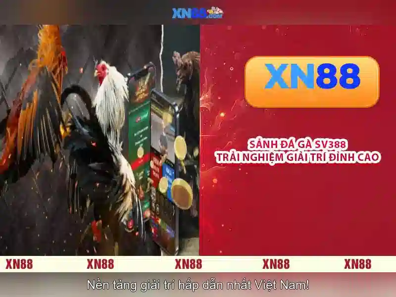 💎ava slot wallet💎