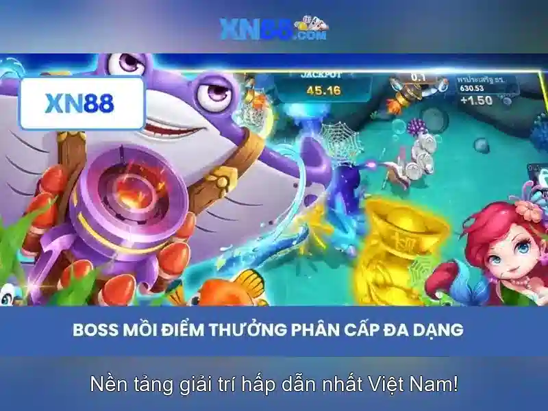 💎xn88 bili💎