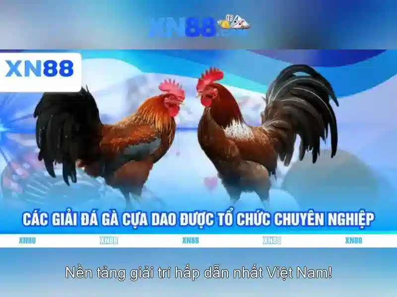 💎pháp lấy cớ gì để đánh bắc kì lần 2💎