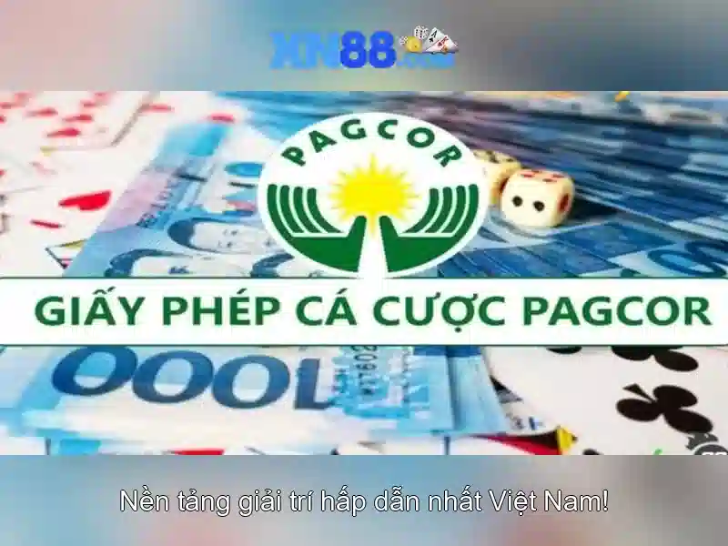 💎câu cá và cuộc sống appvn💎