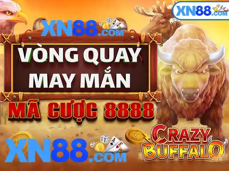 💎cái chổi quét nhà💎